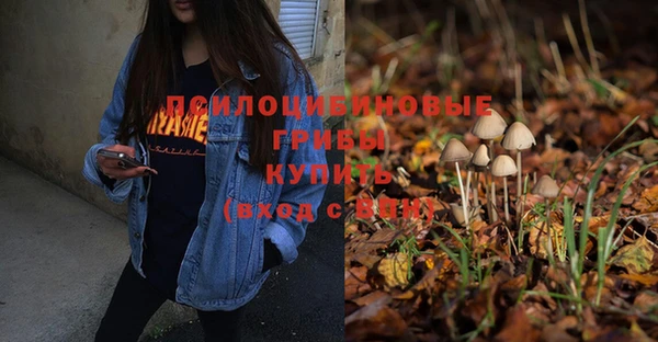 PSILOCYBIN Бугульма