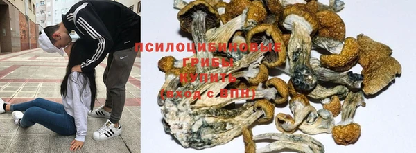 мескалин Бронницы