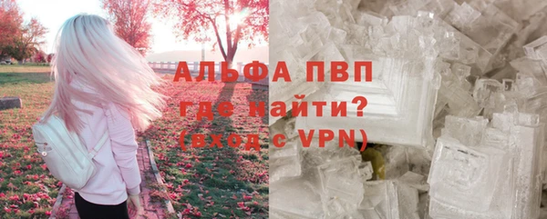 2c-b Бородино