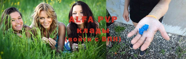 PSILOCYBIN Бугульма