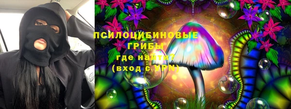2c-b Бородино