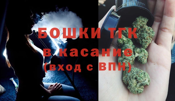 2c-b Бородино