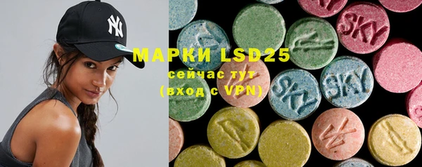PSILOCYBIN Бугульма