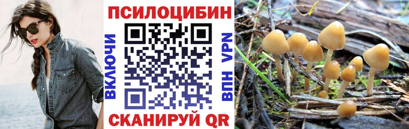 Псилоцибиновые грибы GOLDEN TEACHER  Новопавловск 